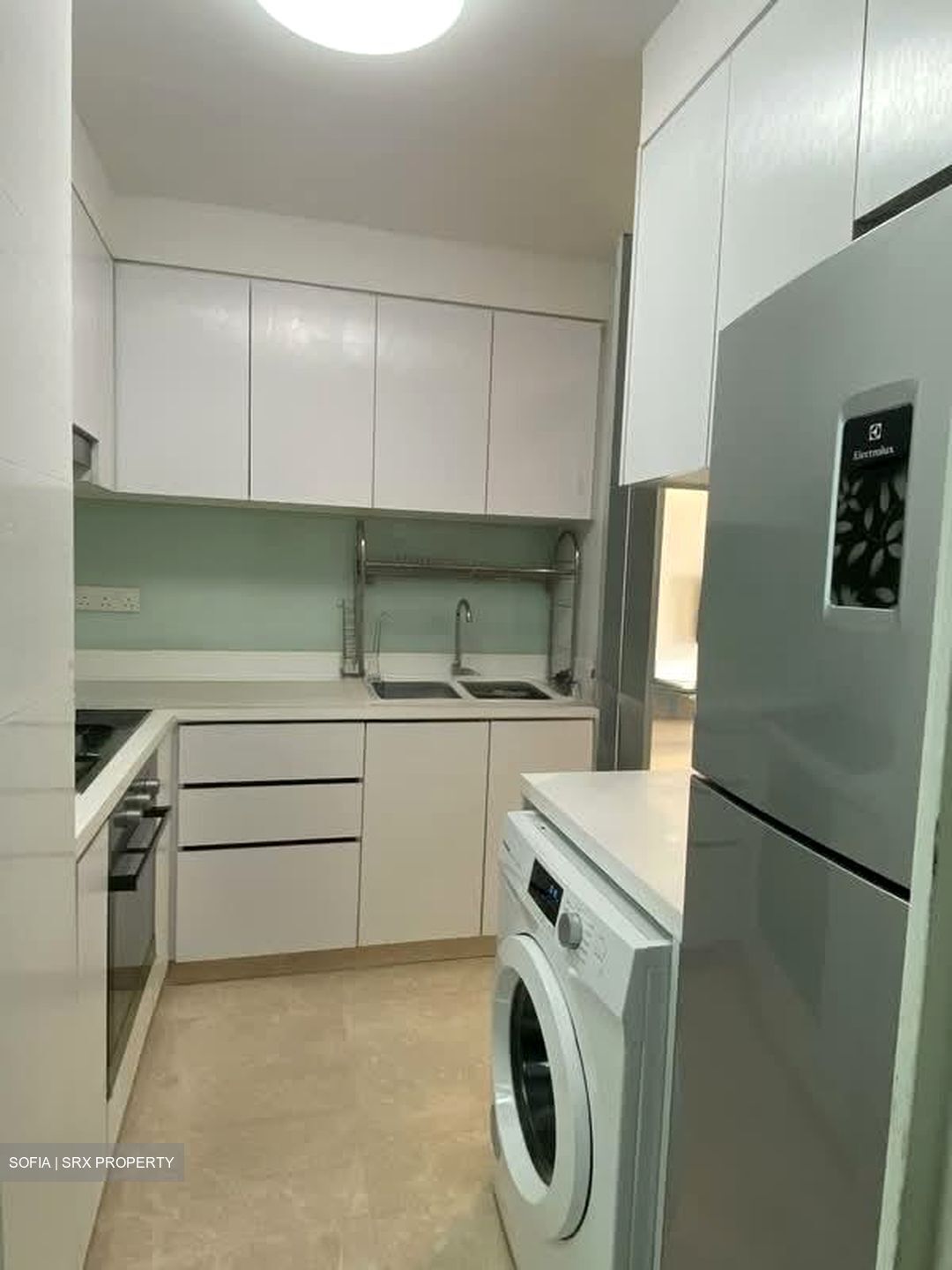 Eight Riversuites (D12), Condominium #554915261